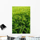 Agricultural Field Green Wall Decal