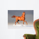 arabian horse in winter Wall Mural