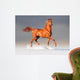 arabian horse in winter Wall Mural