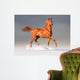 arabian horse in winter Wall Mural