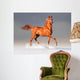 arabian horse in winter Wall Mural