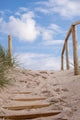 Way between Dunes Foehr