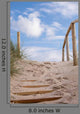 Way between Dunes Foehr