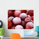 frozen cranberries with frosting Wall Mural