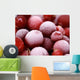 frozen cranberries with frosting Wall Mural