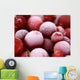 frozen cranberries with frosting Wall Mural