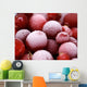 frozen cranberries with frosting Wall Mural