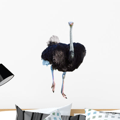 African Ostrich White Wall Decal shown on a wall