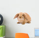 Brown-white Bunny White Wall Decal