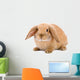 Brown-white Bunny White Wall Decal