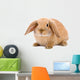 Brown-white Bunny White Wall Decal
