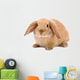 Brown-white Bunny White Wall Decal
