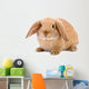 Brown-white Bunny White Wall Decal