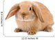 Brown-white Bunny White Wall Decal