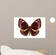 Brown Butterfly Euploea Westwoodi Isolated Wall Decal