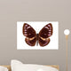 Brown Butterfly Euploea Westwoodi Isolated Wall Decal