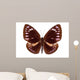 Brown Butterfly Euploea Westwoodi Isolated Wall Decal