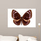Brown Butterfly Euploea Westwoodi Isolated Wall Decal