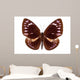 Brown Butterfly Euploea Westwoodi Isolated Wall Decal