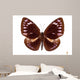 Brown Butterfly Euploea Westwoodi Isolated Wall Decal