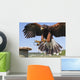 Fenton Bird of Prey Centre Wall Mural
