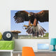 Fenton Bird of Prey Centre Wall Mural