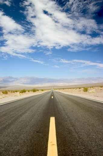 Nevada Road Wall Decal