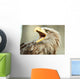Sea eagle with open beak, eagle, Haliaeetus albicilla Wall Mural