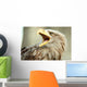 Sea eagle with open beak, eagle, Haliaeetus albicilla Wall Mural