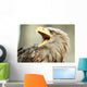 Sea eagle with open beak, eagle, Haliaeetus albicilla Wall Mural