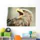 Sea eagle with open beak, eagle, Haliaeetus albicilla Wall Mural