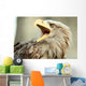 Sea eagle with open beak, eagle, Haliaeetus albicilla Wall Mural