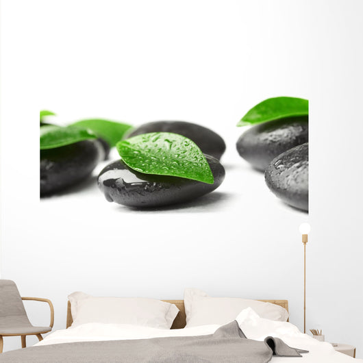 Zen Stones and Leaves