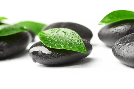 Zen Stones and Leaves