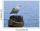Seagull Post