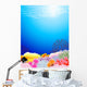 Beautiful Sealife Back