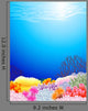 Beautiful Sealife Back