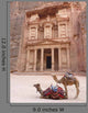 Camels outside Treasury Petra