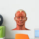Facial muscular anatomy Wall Decal