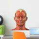 Facial muscular anatomy Wall Decal