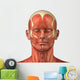 Facial muscular anatomy Wall Decal