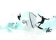 Surf Wall Mural