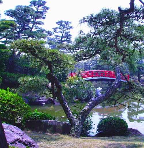 Bridge through Bonsai Wall Decal