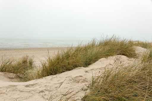 Plage Du Nord Wall Decal