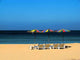 Four Beach Loungers with Umbrellas Wall Decal