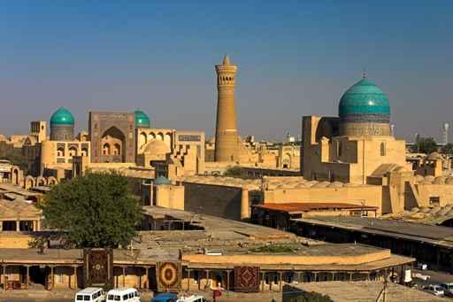 Bukhara Wall Decal