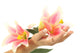 Manicured Hand with Lilies