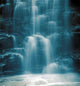 Blue Paradise Wall Mural