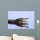 Alligator in the Wildupper Myakka Lakesarrasotaflorida Wall Mural