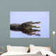 Alligator in the Wildupper Myakka Lakesarrasotaflorida Wall Mural